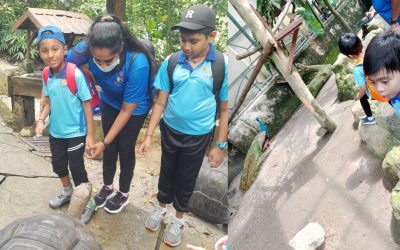 SHINE Visits Farm in the City (2024)